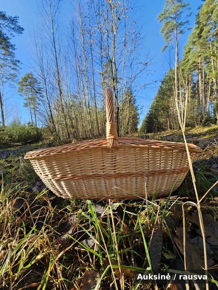 Didelė derliaus pintinė su tamsiomis juostomis