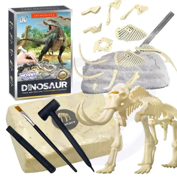 Kūrybinis dinozaurų skeleto rinkinys