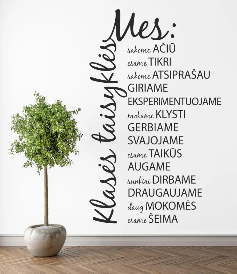 Sienos lipdukas „Klasės taisyklės“