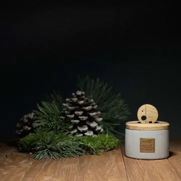 Aromatonė žvakė „Pušų paunksmė“