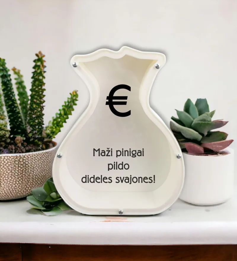 3D Taupyklė maišas „Maži pinigai pildo dideles svajones“