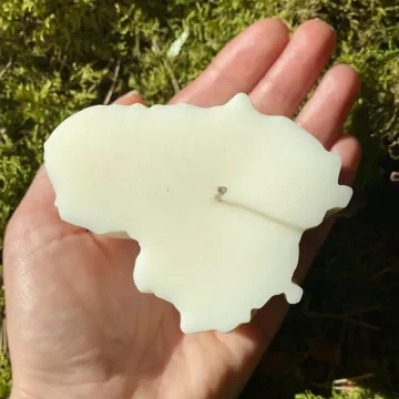 Sojų vaško žvakė Lietuva